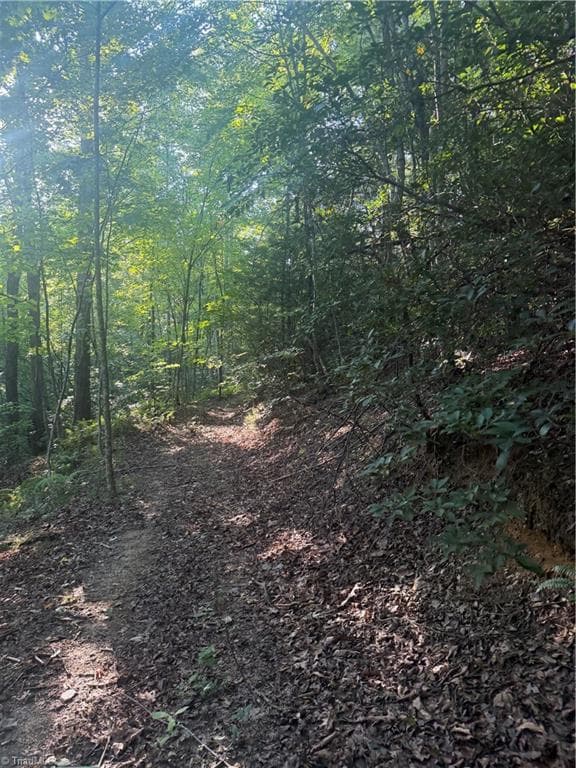 Unimproved Land at 0 W US Highway 421, Purlear NC 28665, photo 21 of 29