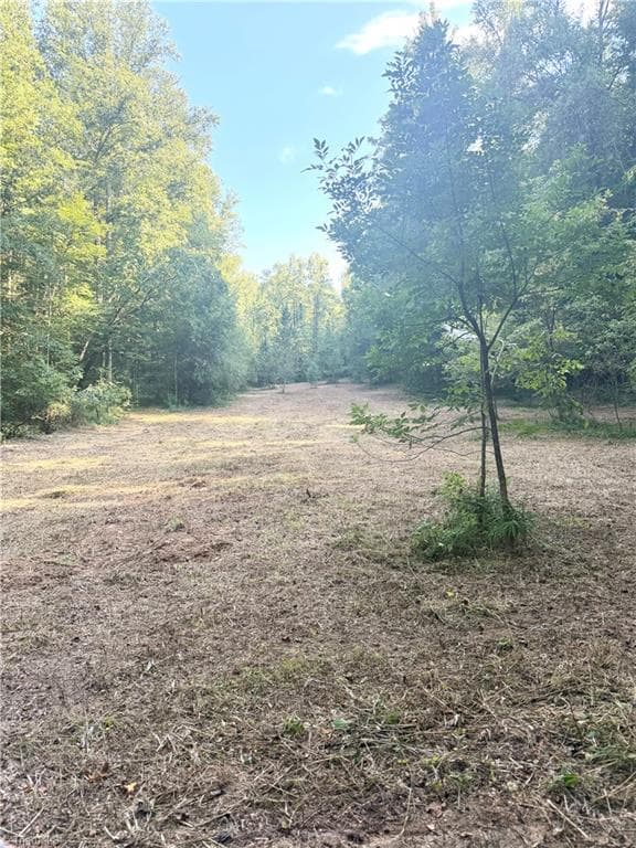 Unimproved Land at 0 Lake Ridge Drive, Wilkesboro NC 28697, photo 6 of 21