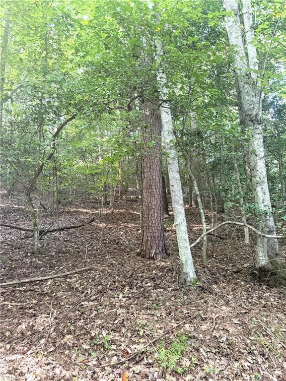 Unimproved Land at 0 Lake Ridge Drive, Wilkesboro NC 28697, photo 13 of 21