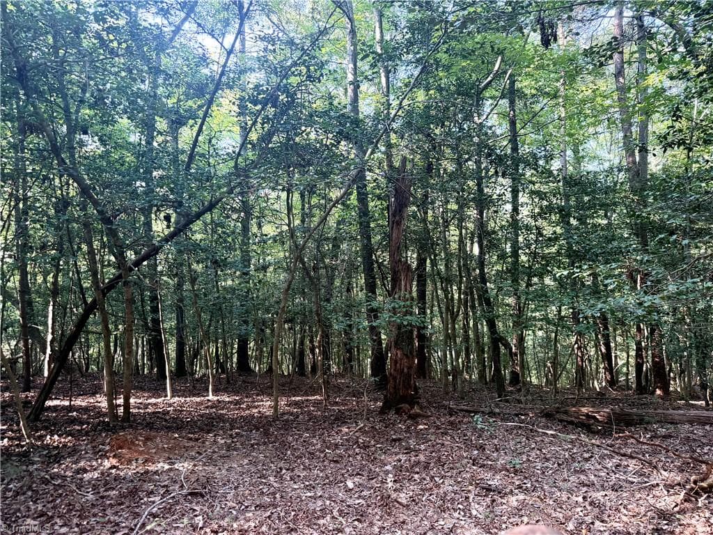 Unimproved Land at 0 Lake Ridge Drive, Wilkesboro NC 28697, photo 17 of 21