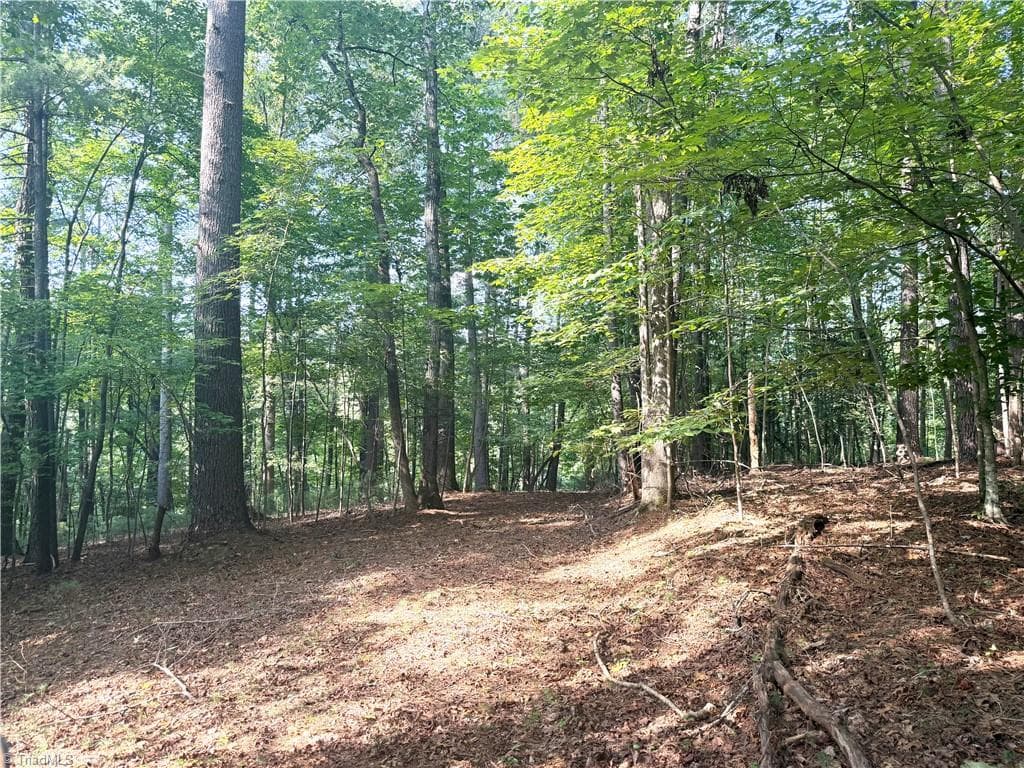 Unimproved Land at 0 Lake Ridge Drive, Wilkesboro NC 28697, photo 16 of 21
