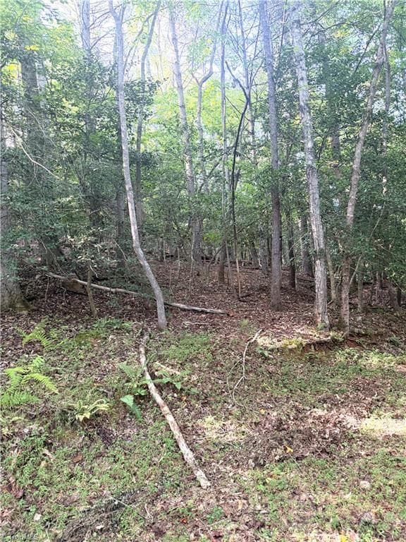 Unimproved Land at 0 Lake Ridge Drive, Wilkesboro NC 28697, photo 12 of 21
