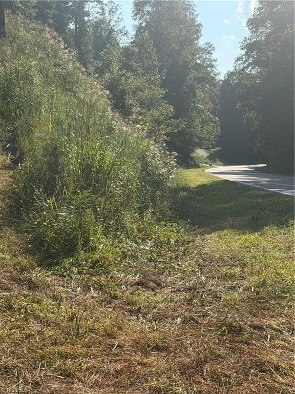Unimproved Land at 0 Lake Ridge Drive, Wilkesboro NC 28697, photo 3 of 21