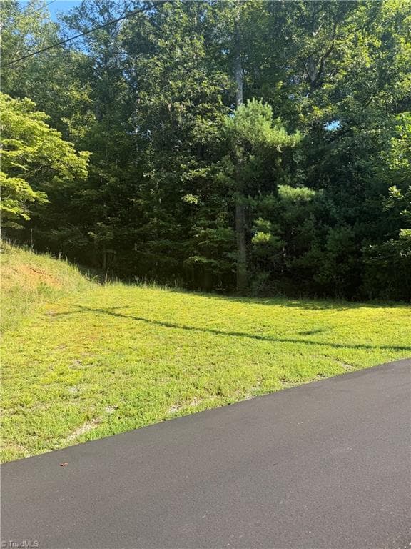Unimproved Land at 0 Lake Ridge Drive, Wilkesboro NC 28697, photo 5 of 21