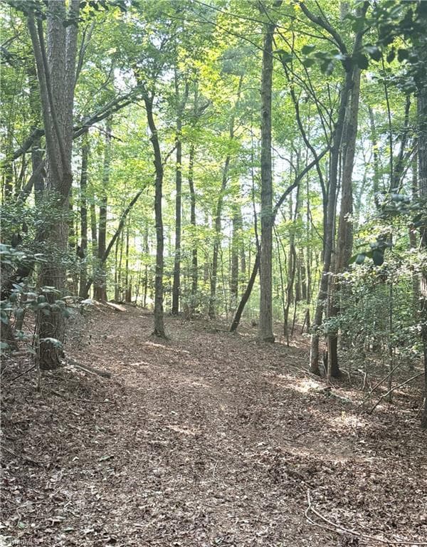 Unimproved Land at 0 Lake Ridge Drive, Wilkesboro NC 28697, photo 20 of 21
