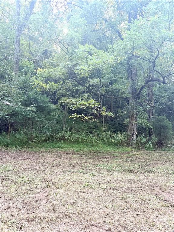 Unimproved Land at 0 Lake Ridge Drive, Wilkesboro NC 28697, photo 9 of 21