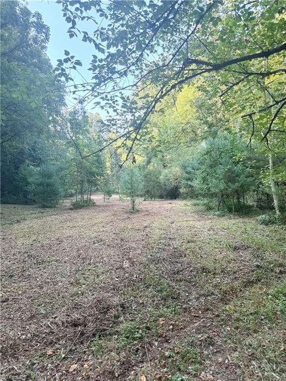 Unimproved Land at 0 Lake Ridge Drive, Wilkesboro NC 28697, photo 10 of 21