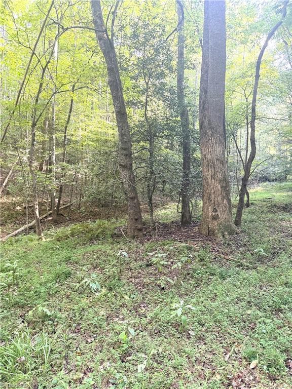 Unimproved Land at 0 Lake Ridge Drive, Wilkesboro NC 28697, photo 14 of 21