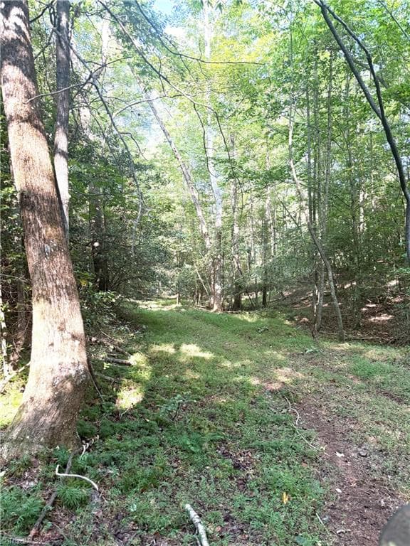 Unimproved Land at 0 Lake Ridge Drive, Wilkesboro NC 28697, photo 15 of 21