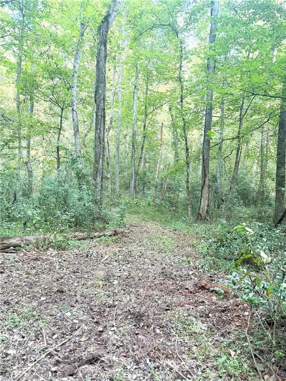 Unimproved Land at 0 Lake Ridge Drive, Wilkesboro NC 28697, photo 11 of 21