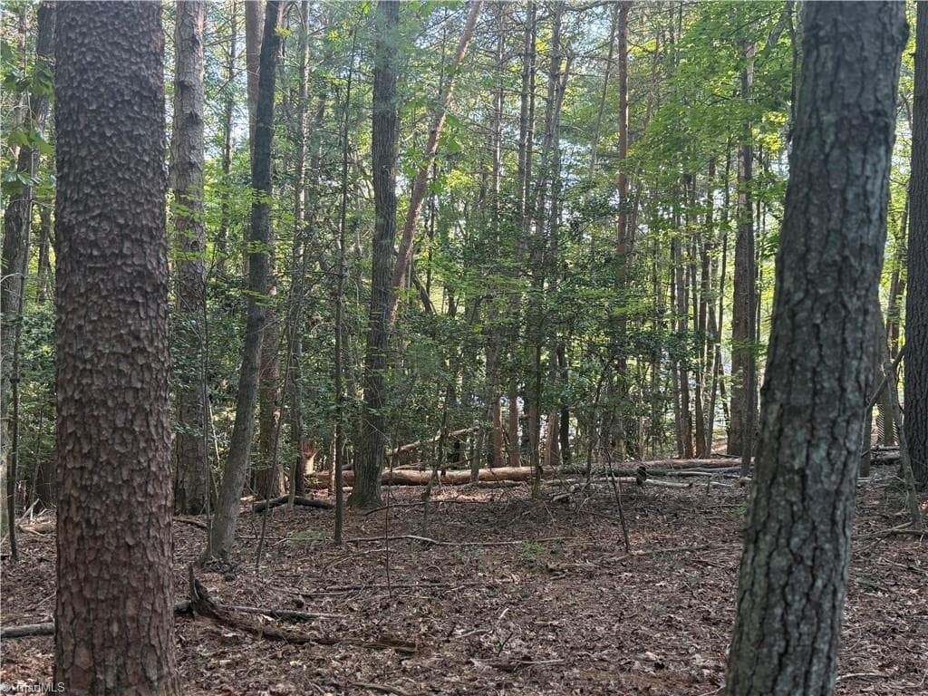 Unimproved Land at 0 Lake Ridge Drive, Wilkesboro NC 28697, photo 19 of 21