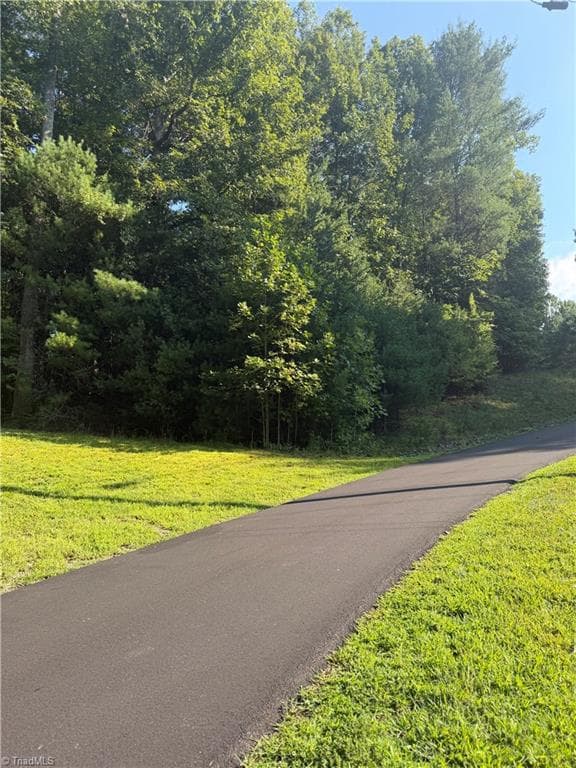 Unimproved Land at 0 Lake Ridge Drive, Wilkesboro NC 28697, photo 4 of 21