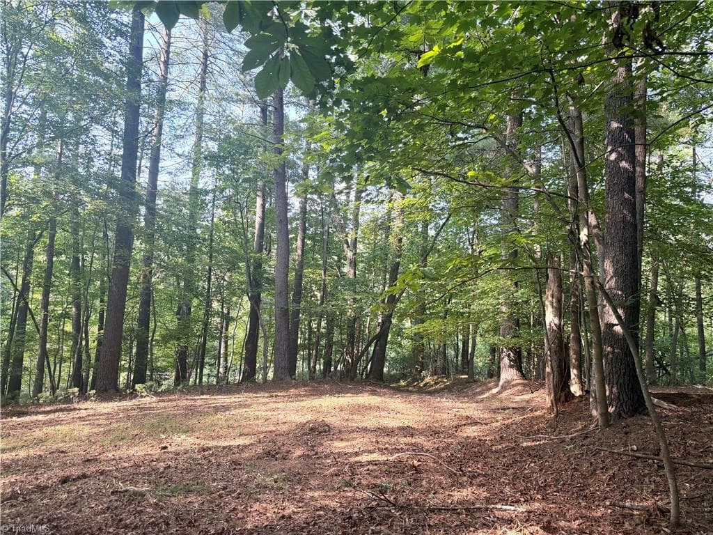 Unimproved Land at 0 Lake Ridge Drive, Wilkesboro NC 28697, photo 21 of 21