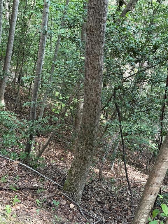 Unimproved Land at TBD Old Nc Highway 16, Millers Creek NC 28651, photo 2 of 16
