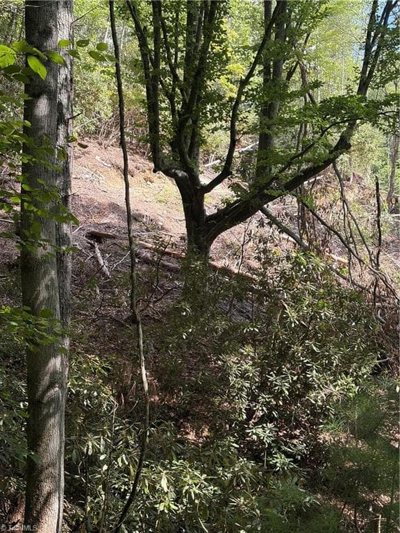 Unimproved Land at TBD Old Nc Highway 16, Millers Creek NC 28651, photo 6 of 16