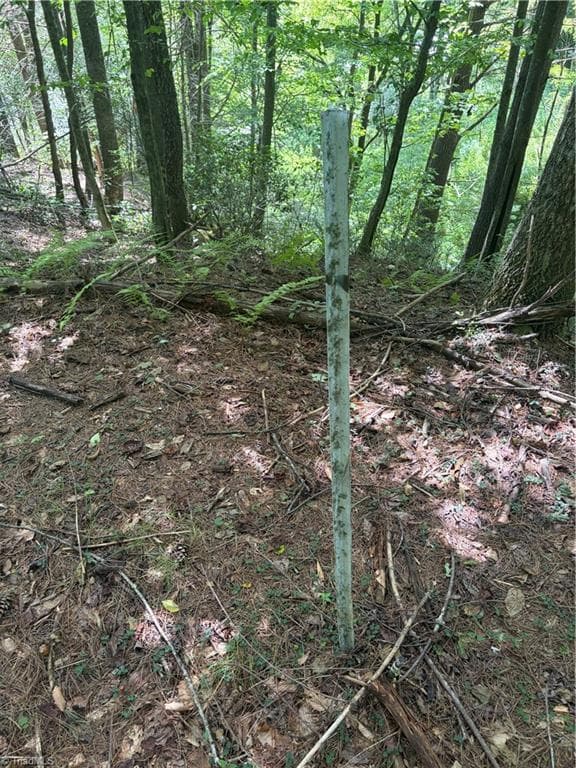 Unimproved Land at TBD Old Nc Highway 16, Millers Creek NC 28651, photo 13 of 16