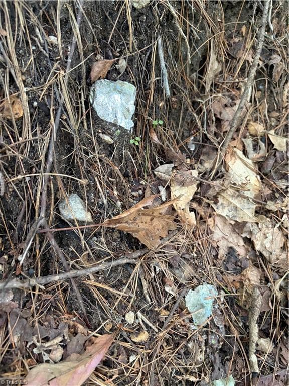 Unimproved Land at TBD Old Nc Highway 16, Millers Creek NC 28651, photo 16 of 16