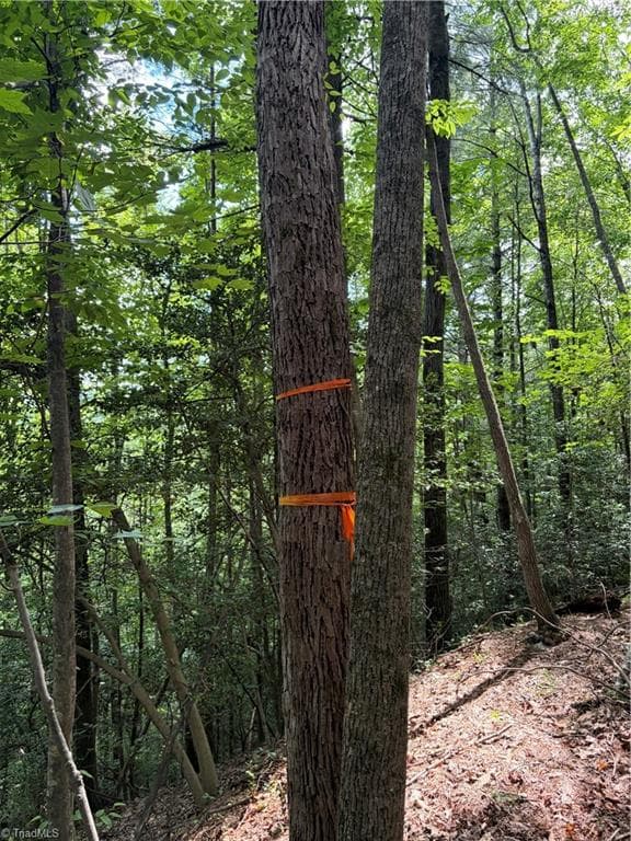 Unimproved Land at TBD Old Nc Highway 16, Millers Creek NC 28651, photo 7 of 16