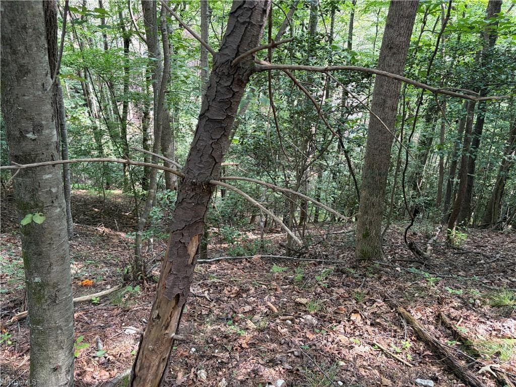 Unimproved Land at TBD Old Nc Highway 16, Millers Creek NC 28651, photo 3 of 16