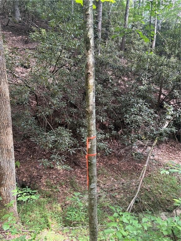 Unimproved Land at TBD Old Nc Highway 16, Millers Creek NC 28651, photo 5 of 16