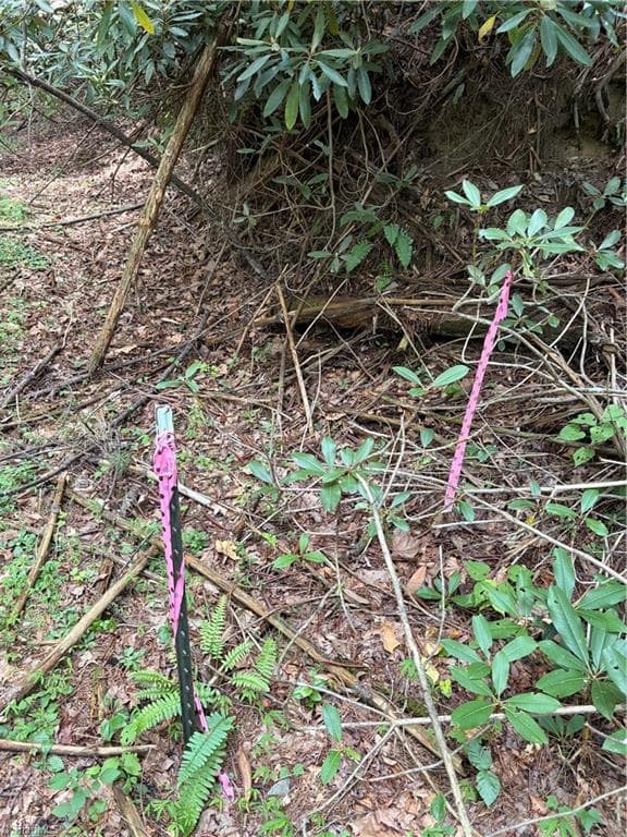 Unimproved Land at TBD Old Nc Highway 16, Millers Creek NC 28651, photo 9 of 16