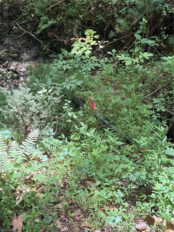 Unimproved Land at TBD Old Nc Highway 16, Millers Creek NC 28651, photo 10 of 16