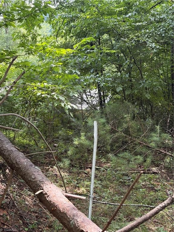 Unimproved Land at TBD Old Nc Highway 16, Millers Creek NC 28651, photo 14 of 16