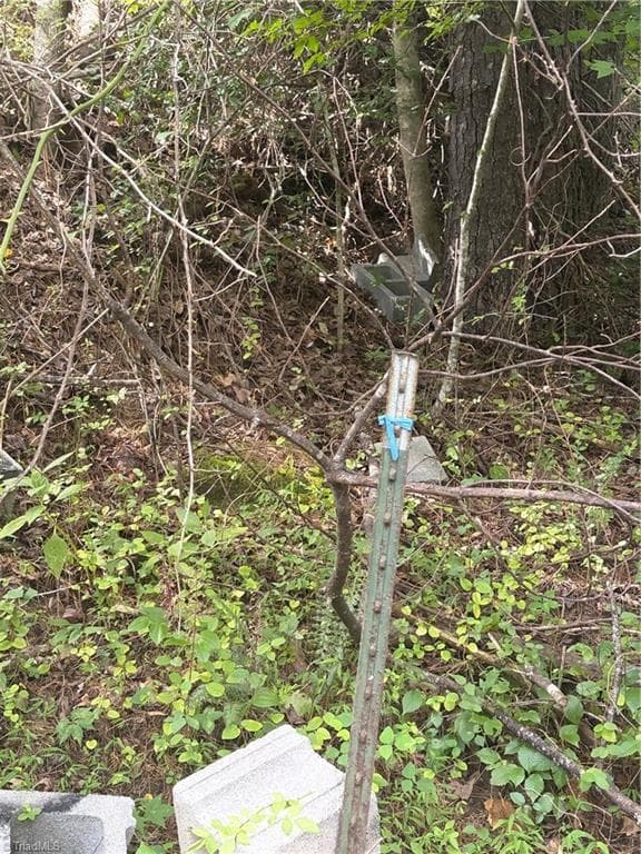 Unimproved Land at TBD Old Nc Highway 16, Millers Creek NC 28651, photo 15 of 16