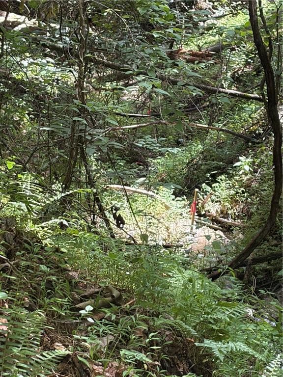 Unimproved Land at TBD Old Nc Highway 16, Millers Creek NC 28651, photo 11 of 16