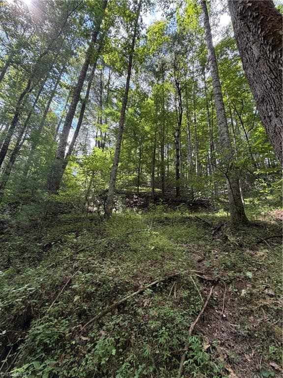Unimproved Land at TBD Old Nc Highway 16, Millers Creek NC 28651, photo 4 of 16