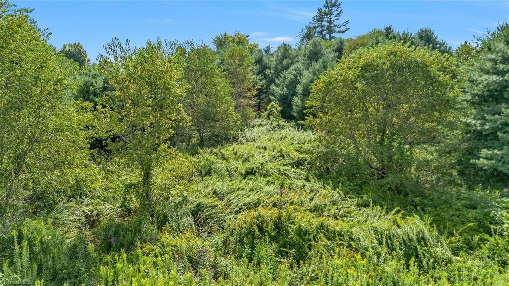 Lot 69 Green Meadows Drive, Todd NC 28684