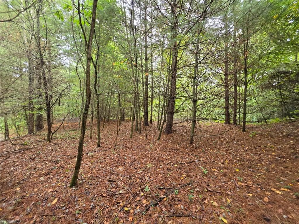 Lot 78 Green Meadows Drive, Todd NC 28684