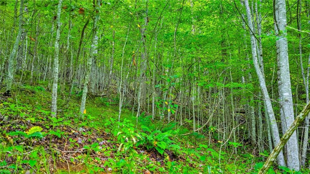 Unimproved Land at TBD W Deep Ford Road, Lansing NC 28643, photo 2 of 20