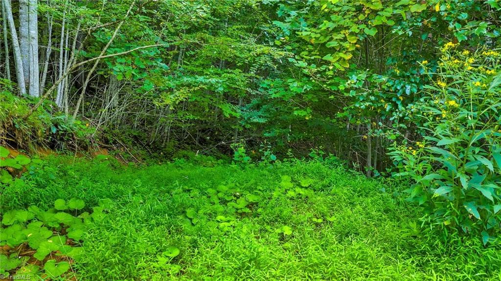 Unimproved Land at TBD W Deep Ford Road, Lansing NC 28643, photo 6 of 20