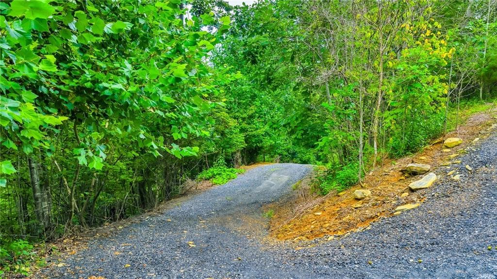 Unimproved Land at TBD W Deep Ford Road, Lansing NC 28643, photo 3 of 20