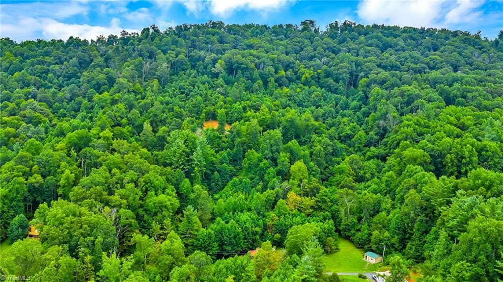 Unimproved Land at TBD W Deep Ford Road, Lansing NC 28643, photo 5 of 20