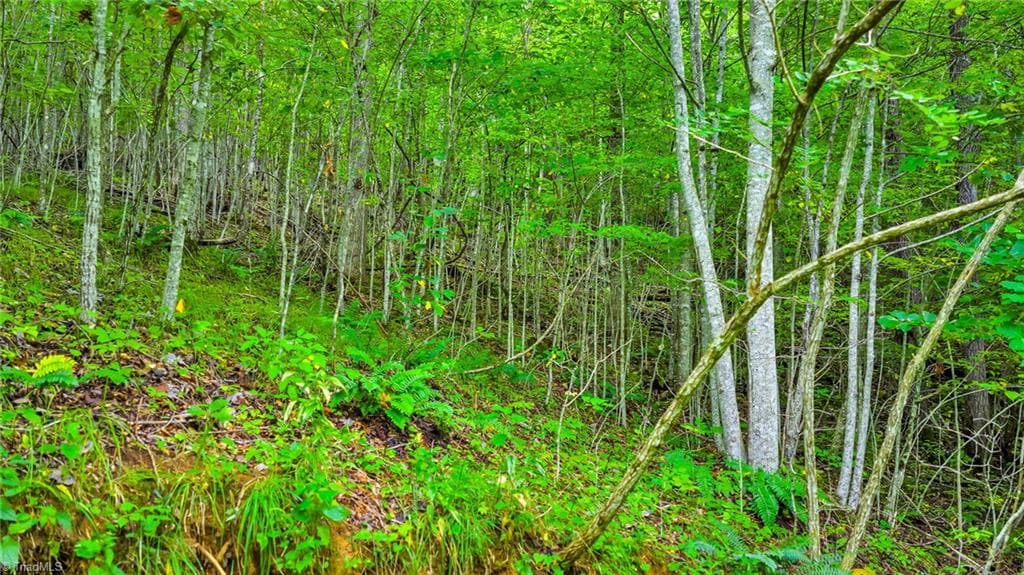 Unimproved Land at TBD W Deep Ford Road, Lansing NC 28643, photo 20 of 20