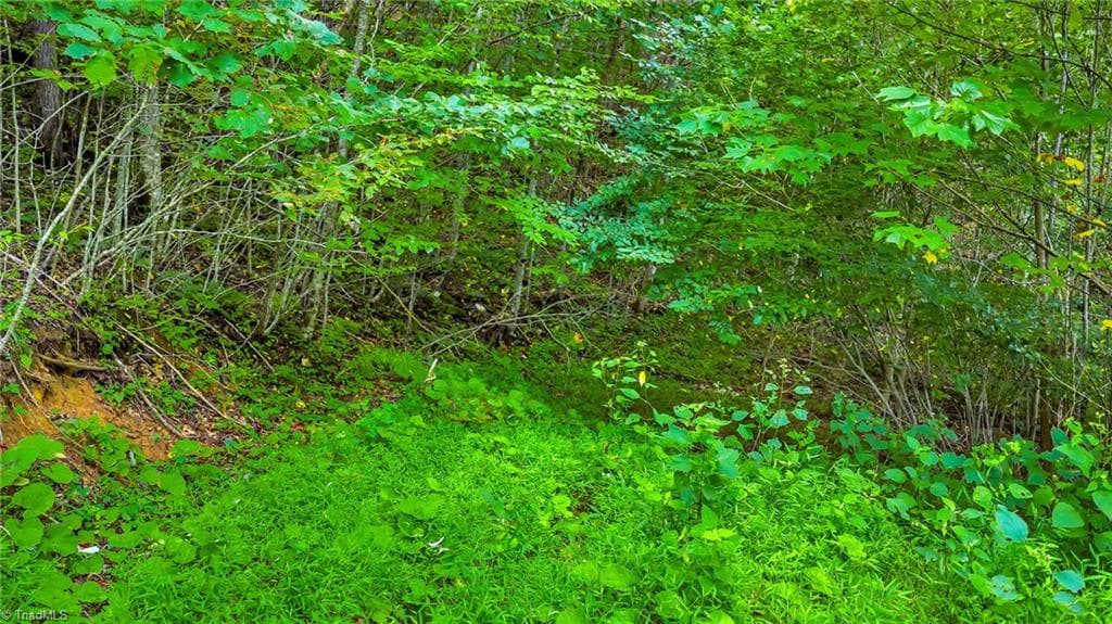 Unimproved Land at TBD W Deep Ford Road, Lansing NC 28643, photo 14 of 20