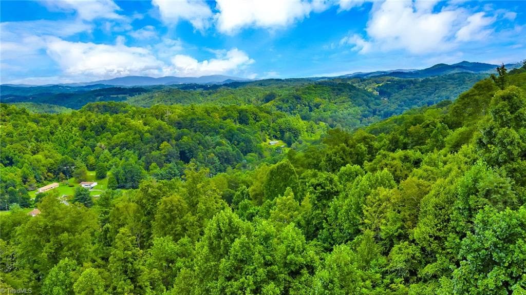 Unimproved Land at TBD W Deep Ford Road, Lansing NC 28643, photo 15 of 20