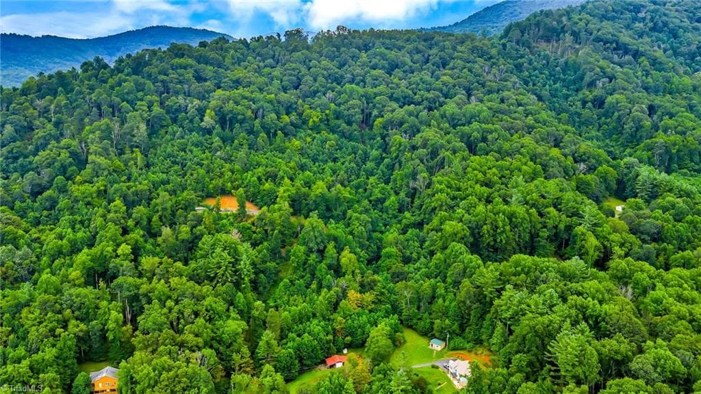 Unimproved Land at TBD W Deep Ford Road, Lansing NC 28643, photo 11 of 20