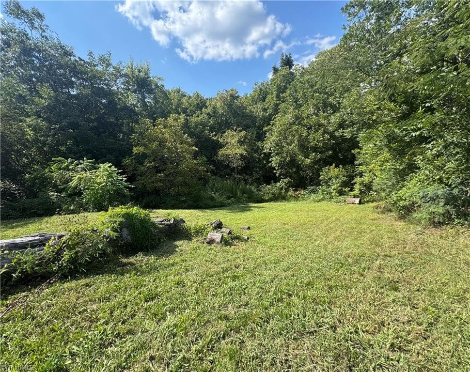 Unimproved Land at 2329 Dunbar Street, Winston-Salem NC 27105, Winston-Salem, photo 3 of 12