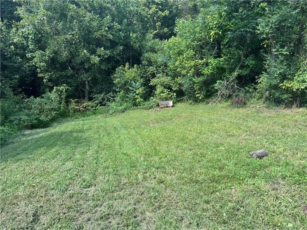 Unimproved Land at 2329 Dunbar Street, Winston-Salem NC 27105, Winston-Salem, photo 11 of 12