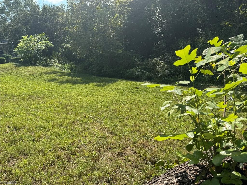 Unimproved Land at 2329 Dunbar Street, Winston-Salem NC 27105, Winston-Salem, photo 5 of 12