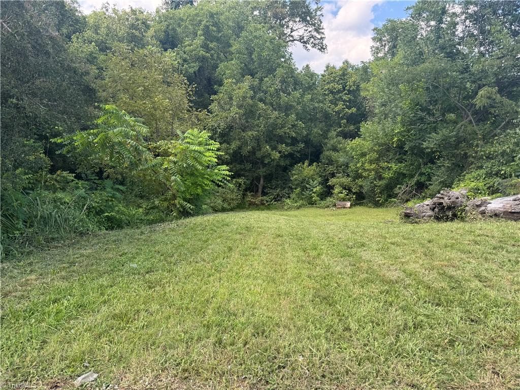 Unimproved Land at 2329 Dunbar Street, Winston-Salem NC 27105, Winston-Salem, photo 9 of 12