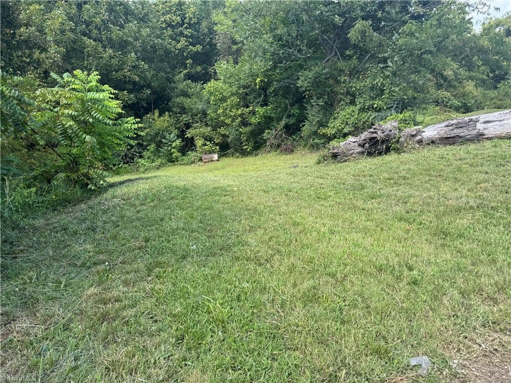 Unimproved Land at 2329 Dunbar Street, Winston-Salem NC 27105, Winston-Salem, photo 7 of 12