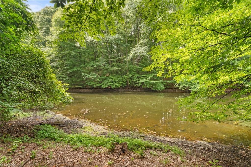 Easy access shore line - 204 Tullyries Lane, Lewisville NC 27023, Lewisville