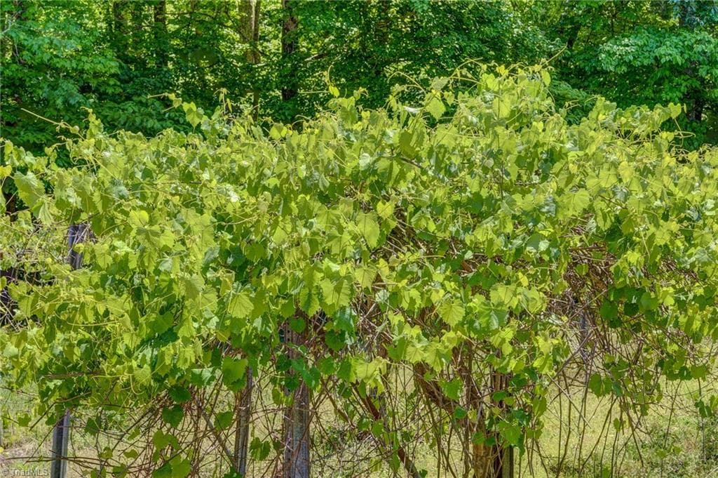 Stick/Site Built at 771 NC Highway 150, Reidsville NC 27320, Reidsville, photo 91 of 100