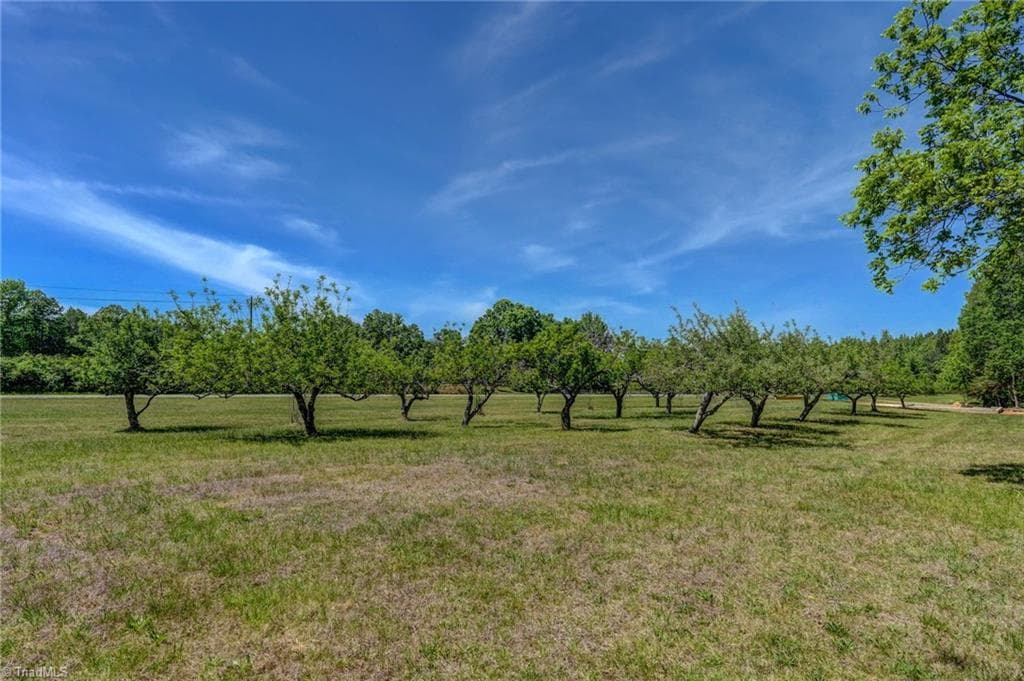Stick/Site Built at 771 NC Highway 150, Reidsville NC 27320, Reidsville, photo 85 of 100