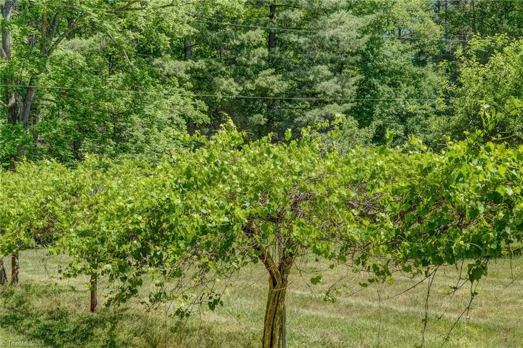 Stick/Site Built at 771 NC Highway 150, Reidsville NC 27320, Reidsville, photo 51 of 100
