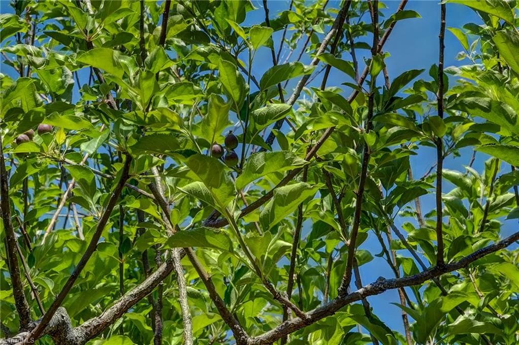 Stick/Site Built at 771 NC Highway 150, Reidsville NC 27320, Reidsville, photo 71 of 100